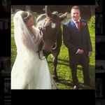 Jo Hayes - @johayes85 - Instagram