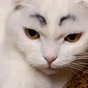 joheckohxwq - @joheckohxwq - TikTok