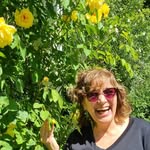 Josette Ribeiro Heck - @jo_heck - Instagram