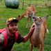 Johan Herbst - Facebook