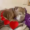 Betty Jo Hickman - @user9982682094007 - TikTok