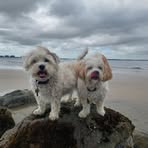 Jo Higgs - Facebook