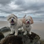 Jo Higgs - @johiggs1966 - Instagram
