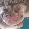 Jo Holder - @jo.holder8 - TikTok