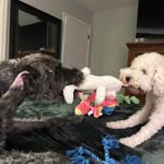 Joline Toranto Holder - @jo.holder716 - Instagram