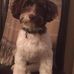Jo Holley - Facebook