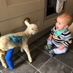 Jo Holt - @mrs_jo_holt - Instagram