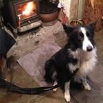 Jo Holt - @jo.holt - Instagram