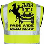 Jo Holt - @equestrianhiviz - Instagram