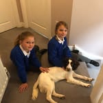 Joanne Holt - @joholt14 - Instagram