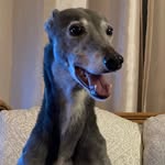 Jo Hooper - @johooper62 - Instagram