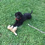 Jo Hooper - @jo.hooper.980 - Instagram