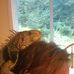 Jo Hooper - Facebook
