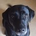 Jo Horne - Facebook