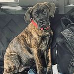 Jo Hurd - @johurd11 - Instagram