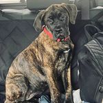 Jo Hurd - @hurdjo - Instagram