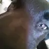 @lelajokenyon - @jd.levi1 - TikTok