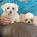 Jo Kerns - Facebook