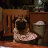 bobbiejokimball - @bobbiejokimball - TikTok