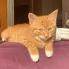jo.king00 - @jo.king00 - TikTok
