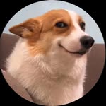 joking_doggies_ - @joking_doggies_ - Instagram