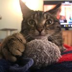 Zoey Jo Kline - @zoey_eyes - Instagram