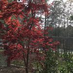 Jo Knapp - @k2000y - Instagram