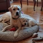 Jo Koenig - @jkoenig9698 - Instagram