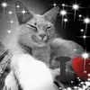 mariejokoenig - @mariejokoenig - TikTok