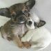 Jo Landers - Facebook