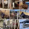 jolanders - @skvismelo - TikTok