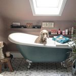 Jo Langley-Hobbs - @hobbshomeinteriors - Instagram