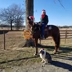 Jo Langston - @langston7550 - Instagram