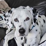 Jo Larkin - @jo.larkin.790 - Instagram