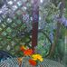 Jo Larkin - Facebook