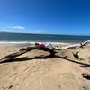 Jojo Lott - @user3817656055459 - TikTok