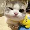 jolottt - @jolotttttttt - TikTok