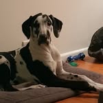 Jo Lowry - @jo.lowry - Instagram