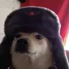 joluke - @joluke0 - TikTok