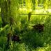 Joanne Lund - Facebook