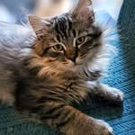 Joanne Lund - @jolund1973 - Instagram