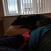 Jo Lyons - Facebook
