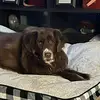 jomacdonald83 - @jomacdonald83 - TikTok