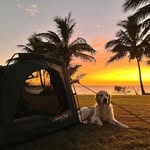 Jo C Mackey - @jocmackey - Instagram