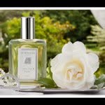 @jo_malone - Instagram