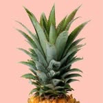 Jomay's Shop - @jomaysshop - Instagram