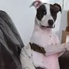 🎀Jo_mcdermott🎀 - @🎀Jo_mcdermott🎀    - TikTok