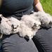 Jo McDonough - Facebook