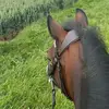 Jo McGovern - @joanne.mcgovern15 - TikTok