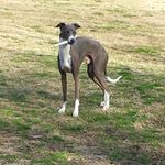Jo McKnight Smith - @mcnite20 - Instagram